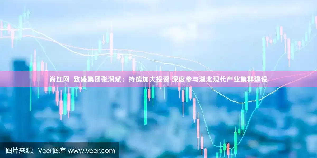 尚红网  致盛集团张润斌：持续加大投资 深度参与湖北现代产业集群建设